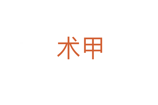术甲