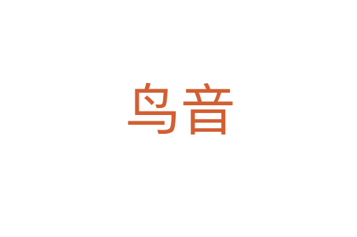 鸟音