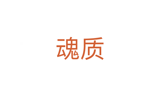 魂质